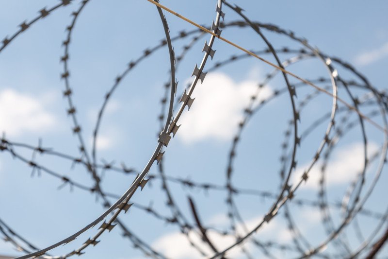 Razor wire fence